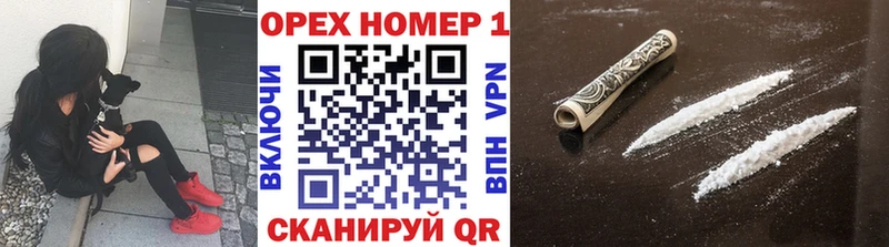 COCAIN Fish Scale  мега маркетплейс  Брянск 