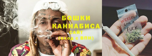 ПСИЛОЦИБИНОВЫЕ ГРИБЫ Лиски