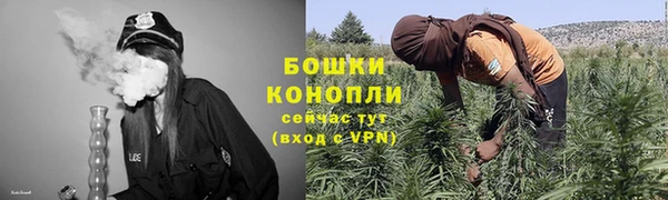 ПСИЛОЦИБИНОВЫЕ ГРИБЫ Лиски