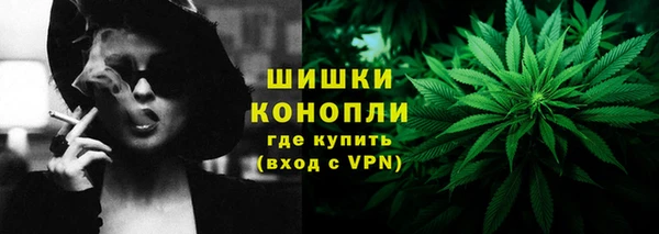 ПСИЛОЦИБИНОВЫЕ ГРИБЫ Лиски