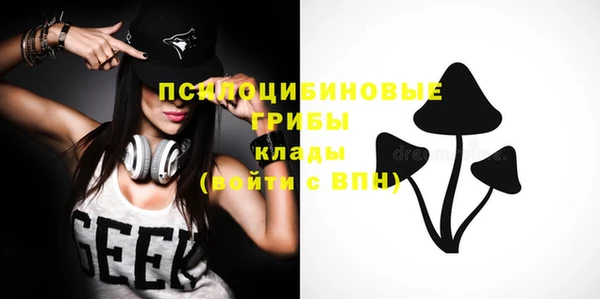 ПСИЛОЦИБИНОВЫЕ ГРИБЫ Лиски