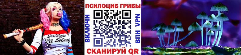 Галлюциногенные грибы Magic Shrooms  наркотики  Брянск 